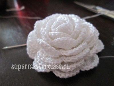 Knitted Rose