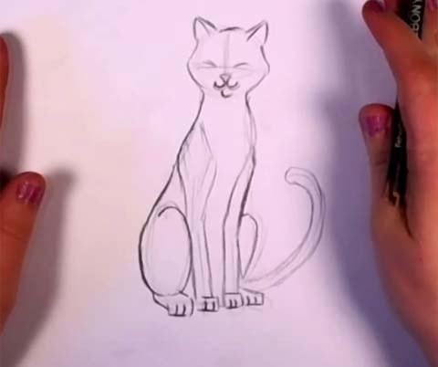 How to Draw a Cat in Pencil