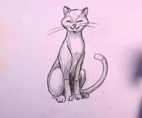 How to Draw a Cat in Pencil