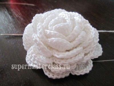 Knitted Rose