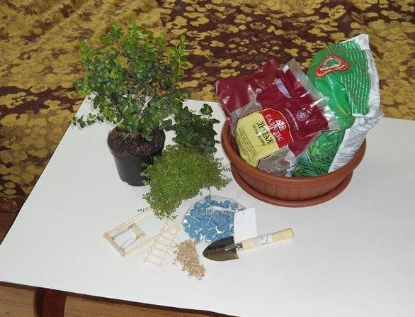 How to DIY Mini Fairy Garden