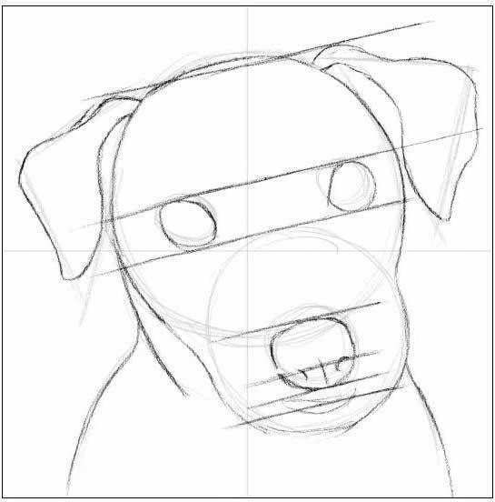 How to Draw a Dog