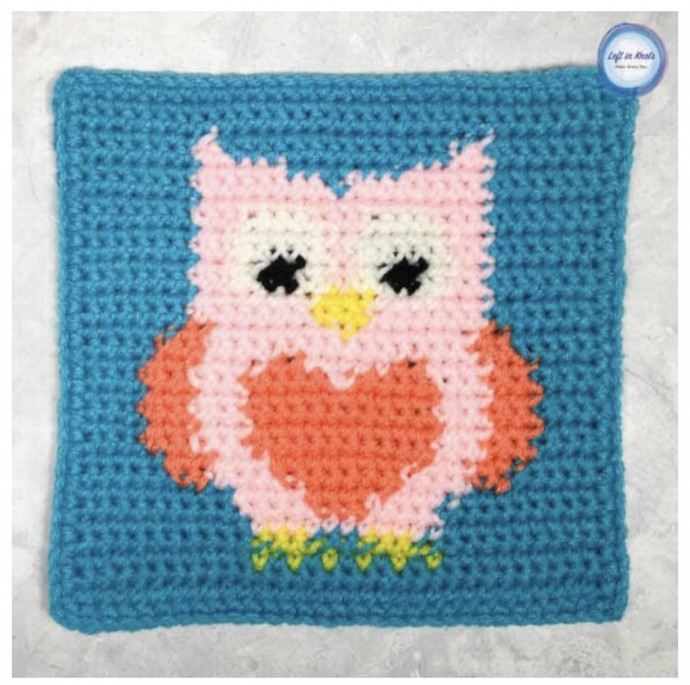 Crochet an Owl Square