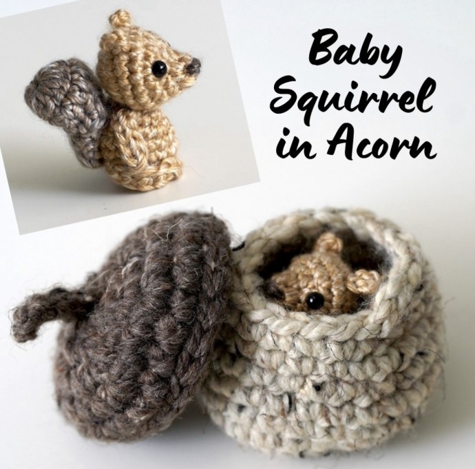 Create Your Own Adorable Baby Squirrel In An Acorn Toy For Kids Create Your Own Adorable Baby Squirrel In An Acorn Toy For Kids