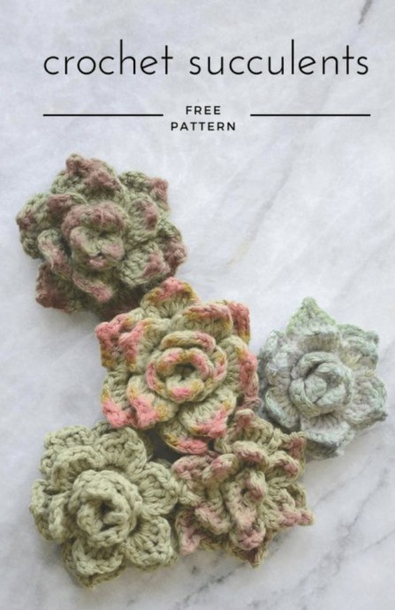 DIY Crochet Succulents