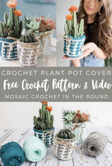 Modern Plant Pot Cover