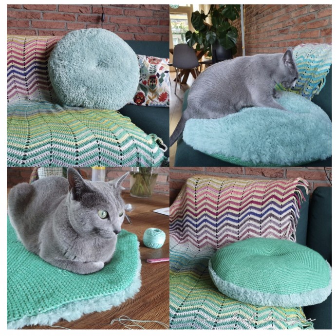 Cool Momo Pet Bed