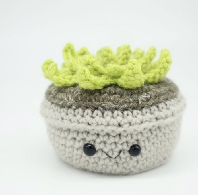 Succulent Amigurumi