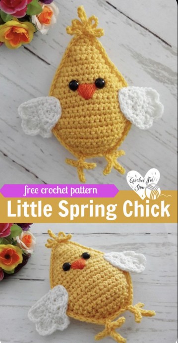 Little Spring Chick