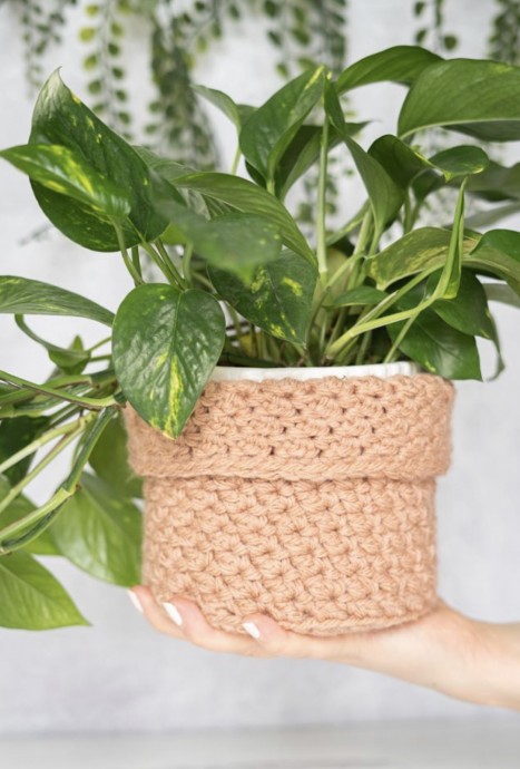 Textured Houseplant Cozy