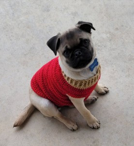 2021 Crochet Roundup