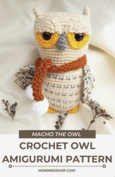 Create Your Own Adorable Macho the Owl: A Fun Craft Project for Kids and Adults Create Your Own Adorable Macho the Owl: A Fun Craft Project for Kids and Adults