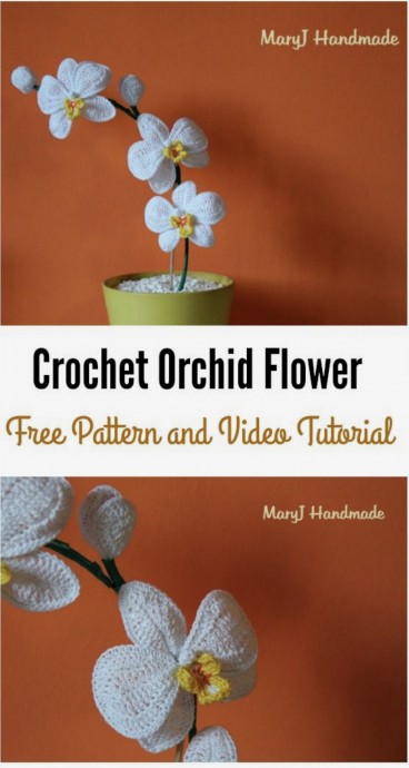 DIY Crochet Orchid Flower