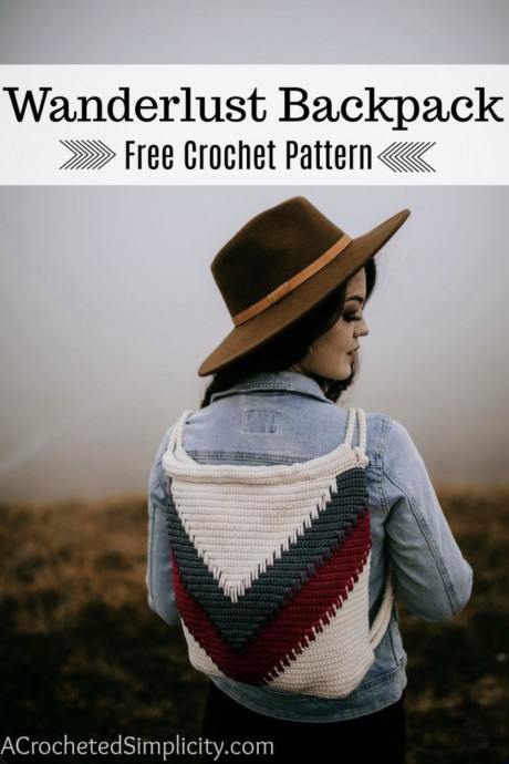 Beautiful Wanderlust Chevron Backpack