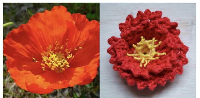 DIY Crochet Island Poppy Flower