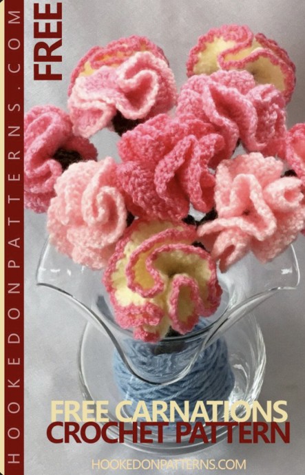 Crochet Carnations