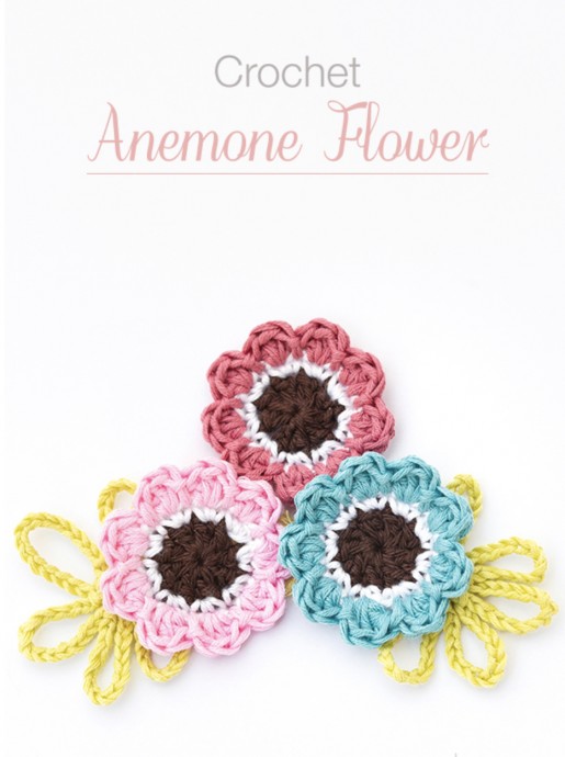 Beautiful Anemone Flowers