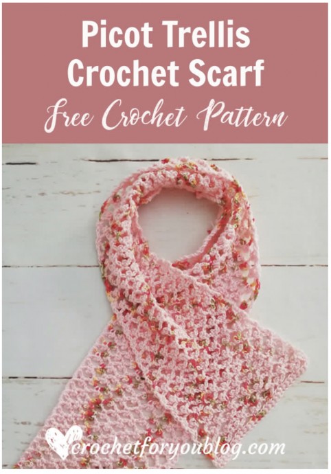 Picot Trellis Crochet Scarf
