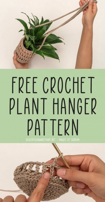 DIY Plant Hanger