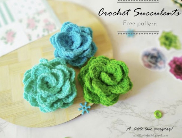 Simple Crochet Succulent