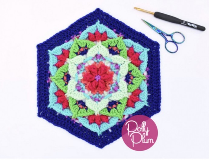 Beautiful Crochet Hexagon
