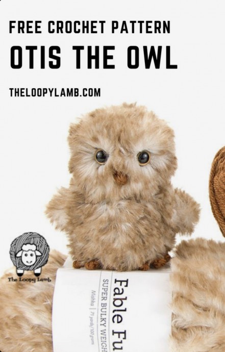 Make Otis the Owl