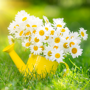 Connect with Fellow Crafters and Share Your Favorite Patterns Today! Connect with Fellow Crafters and Share Your Favorite Patterns Today!