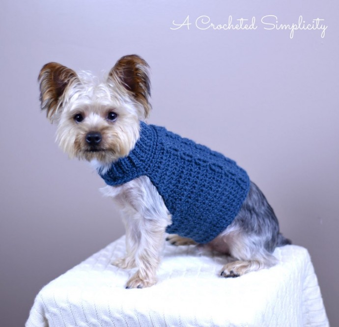 Inspiration. Crochet Dog's Sweaters.