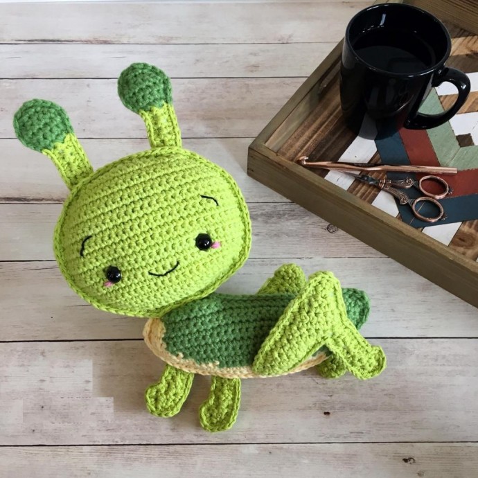 Helping our users. ​Crochet Grasshopper.