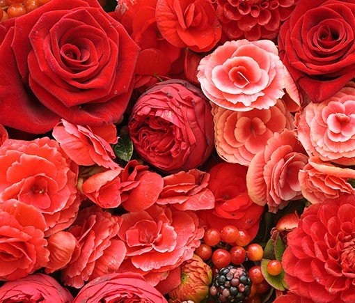 Have a Great Day!