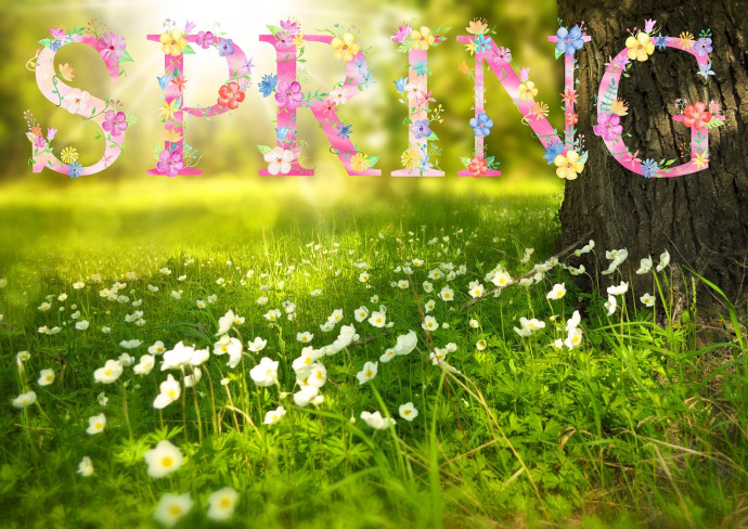 A Heartfelt Spring Greeting to Brighten Your Day A Heartfelt Spring Greeting to Brighten Your Day