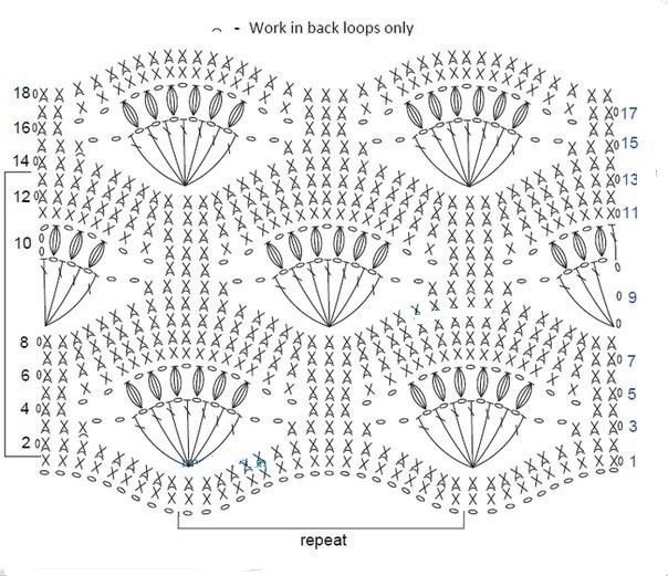Crochet Shells Pattern Crochet Shells Pattern