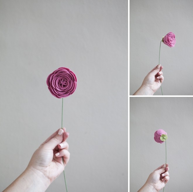 Felt Ranunculus Felt Ranunculus