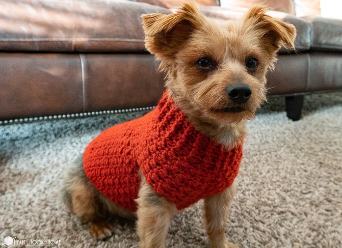 Inspiration. Crochet Dog's Sweaters.