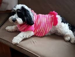 Inspiration. Crochet Dog's Sweaters.