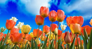 Wishing Friends a Joyful Day Filled with Creativity in Knitting and Crocheting Wishing Friends a Joyful Day Filled with Creativity in Knitting and Crocheting