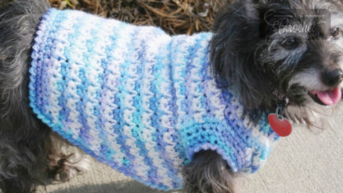 Inspiration. Crochet Dog's Sweaters.