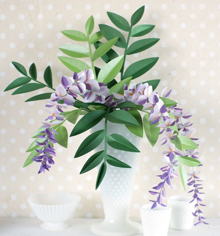 Paper Wisteria Plant Paper Wisteria Plant
