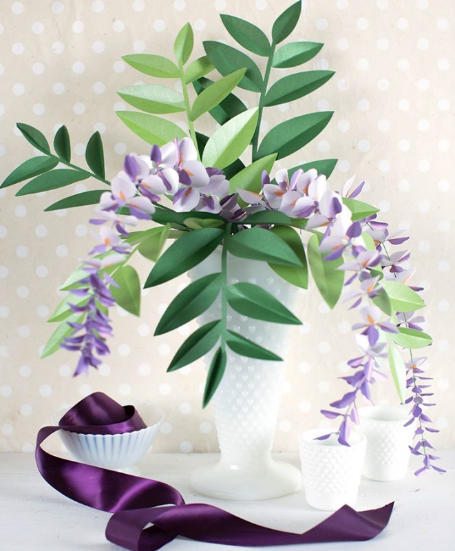 Paper Wisteria Plant Paper Wisteria Plant