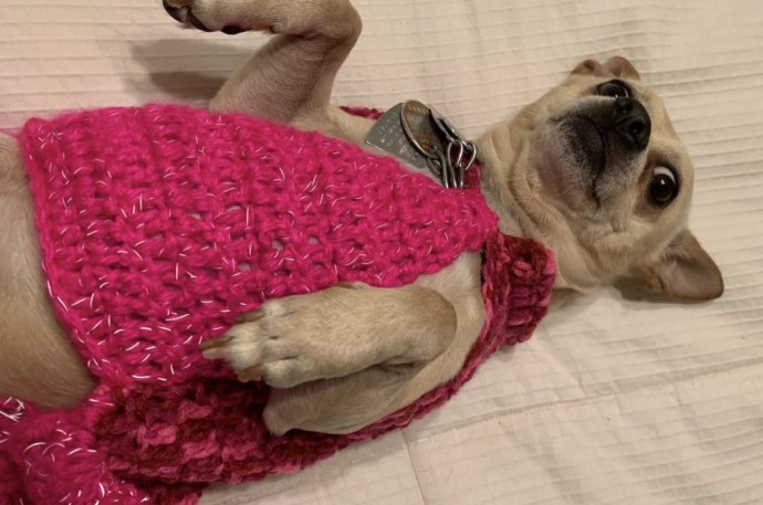 Helping our users. Crochet Dog Sweater. Helping our users. Crochet Dog Sweater.