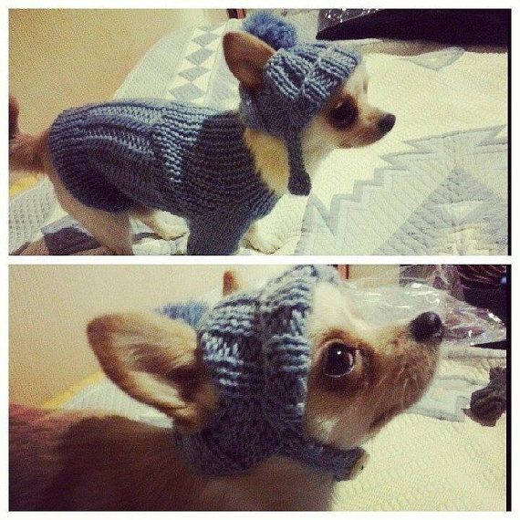 Inspiration. Pets Knitting.