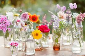 Warm Greetings and Thoughts for a Wonderful Day