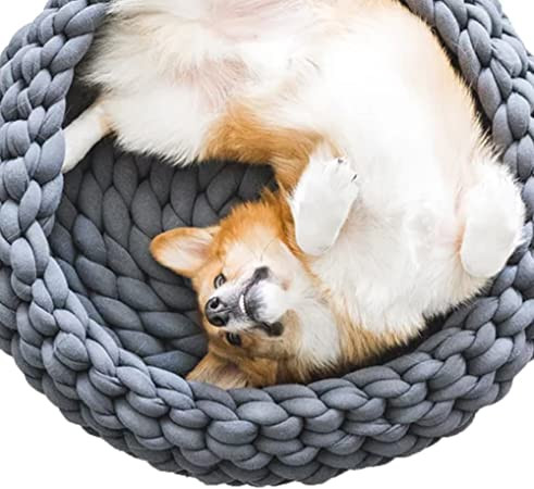 Discover Creative Inspiration for Crochet Pet Beds to Keep Your Furry Friends Cozy Discover Creative Inspiration for Crochet Pet Beds to Keep Your Furry Friends Cozy