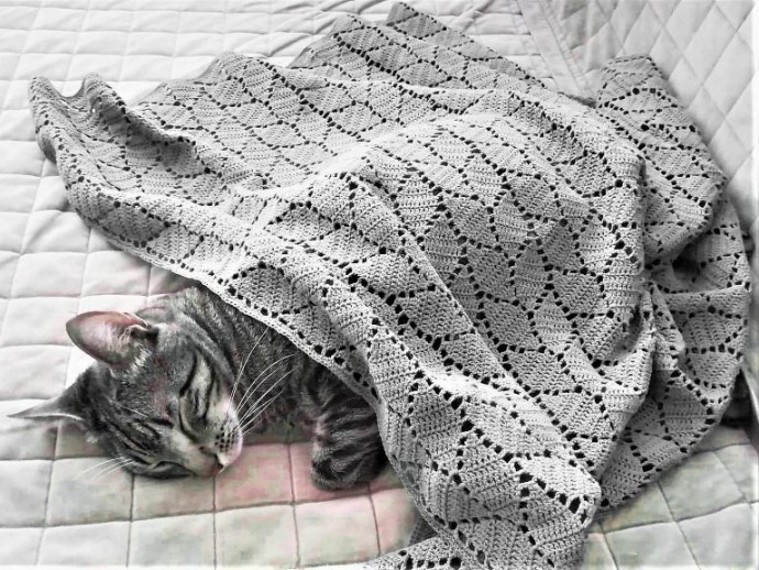 Helping our users. ​Crochet Blanket of Different Sizes.