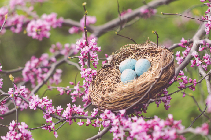 Discovering Inspiration for Everyday Crafts from Nature and Architecture