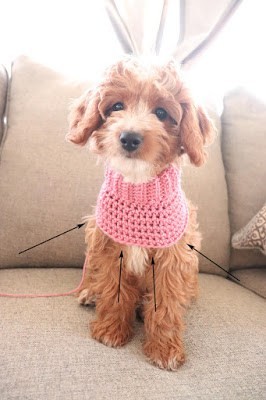 Helping our users. ​Crochet Sweater for a Small Dog.