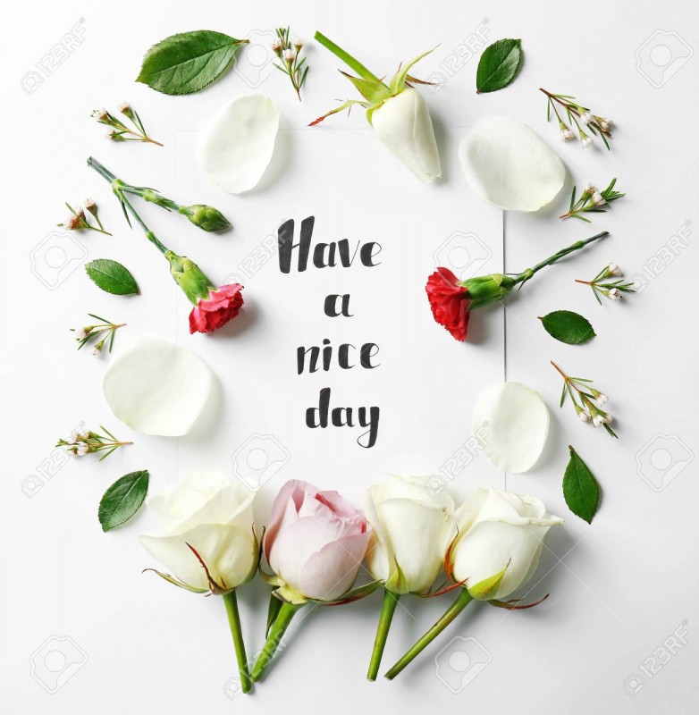Have a Nice Day! Have a Nice Day!