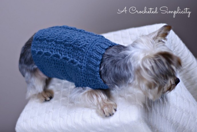 Inspiration. Crochet Dog's Sweaters.