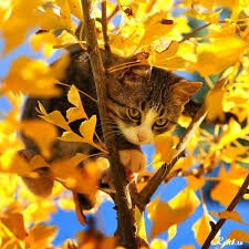 Wishing You a Joyful Day and Sharing Favorite Clothing Items Wishing You a Joyful Day and Sharing Favorite Clothing Items