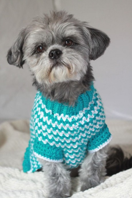 Inspiration. Crochet Dog's Sweaters.